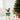 Dress Your Pet in Holiday Cheer with the Santajoy 3D Christmas Santa Costume for Small Dogs and Cats
